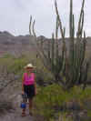 Agua_Verde_cactus_and_Signe (77K)