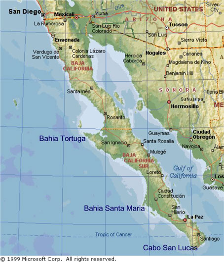 Cabo San Lucas Gun Battle « EXPAT in BAJA Mexico