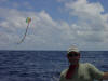 Marquesas Passage - Mike's head-kite - 51K