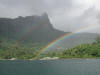 Moorea rainbow (Felicity photo) - 115K