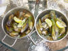 NZ Havelock - Green-lipped mussels in pots - 155K