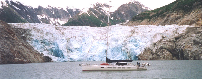 Raven at North Sawyer Glacier